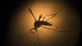 ¿Adiós al dengue? Nueva vacuna podría terminar con aumento de casos en México