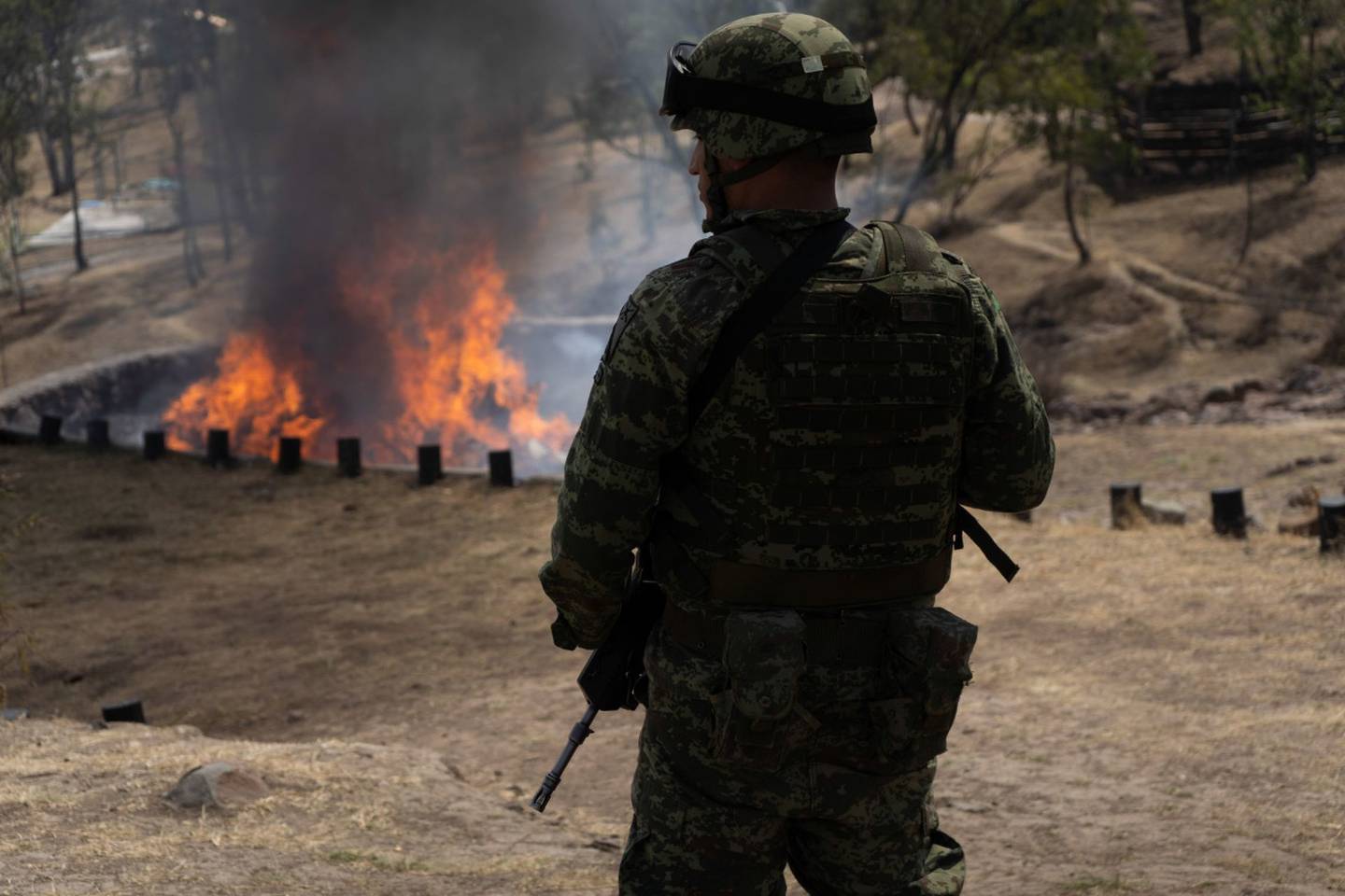Sedena: ejército ‘suaviza’ golpes a plantíos del narcotráfico