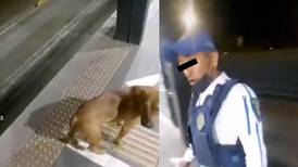 Policía golpea a perrito para sacarlo de una estación del Metrobús