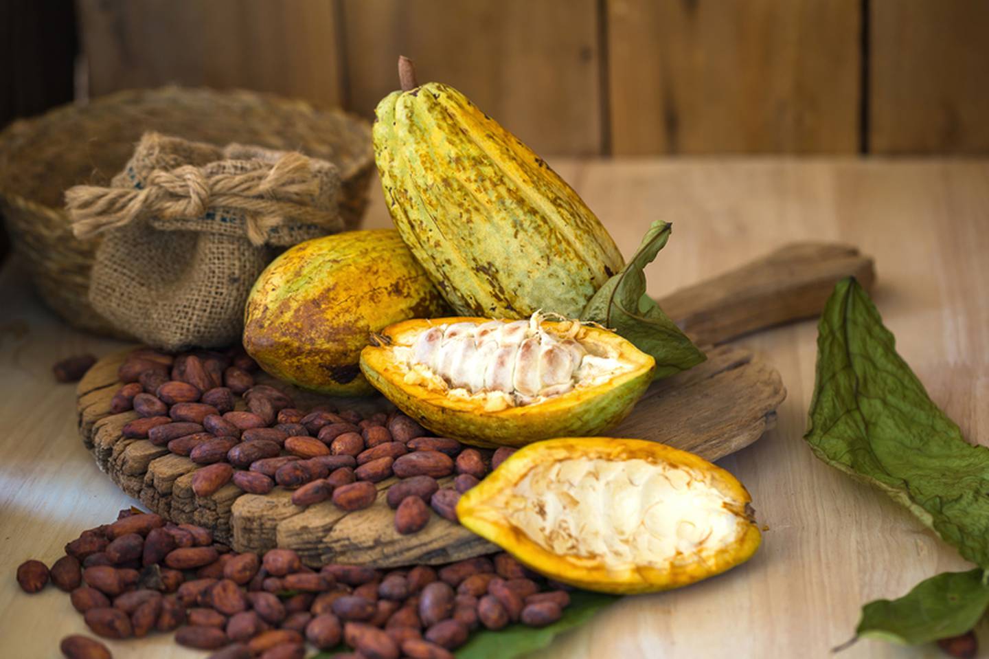 Día Mundial del Cacao El Santuario