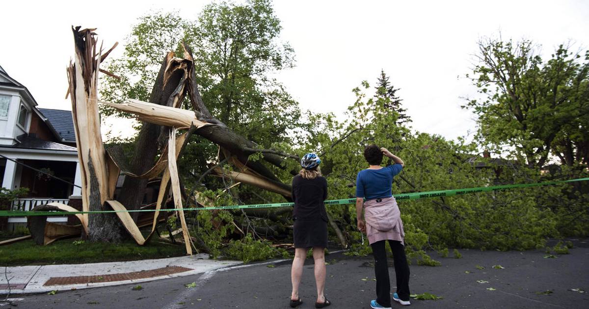At least eight deaths and thousands without power due to storm are reported in Toronto, Ottawa, Ontario and Quebec