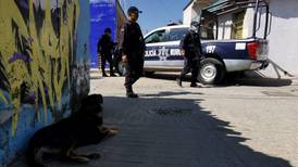 Investigan a policías municipales que atropellaron varias veces a perrito en Oaxaca