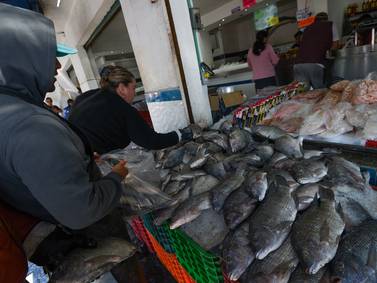 Pecado capital: Familias pagan 720 pesos por un kilo pescado en Semana Santa