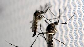 ¿Cómo diferenciar los síntomas de dengue y malaria?