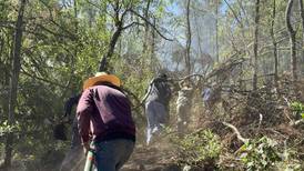 “¡Ayúdenos por favor!”: Habitantes de Jilotzingo exigen apoyo por incendios forestales