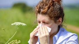 Alergias primaverales: Consejo para enfrentar la rinitis alérgica estacional