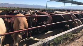 ¿Qué pasará con la exportación de ganado de NL a Estados Unidos?; aplica la entidad protocolo de cero tolerancia