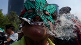 Ley para Regular Cannabis y uso recreativo de la marihuana ya tiene fecha en el Senado 