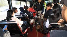 Hasta 18 operativos diarios en transporte público con ‘canes’ para inhibir asaltos 