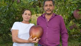 Campesinos colombianos ganan Récord Guinness por mango más pesado