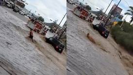 Policías rescatan a adulto mayor que arrastró un arroyo en La Paz