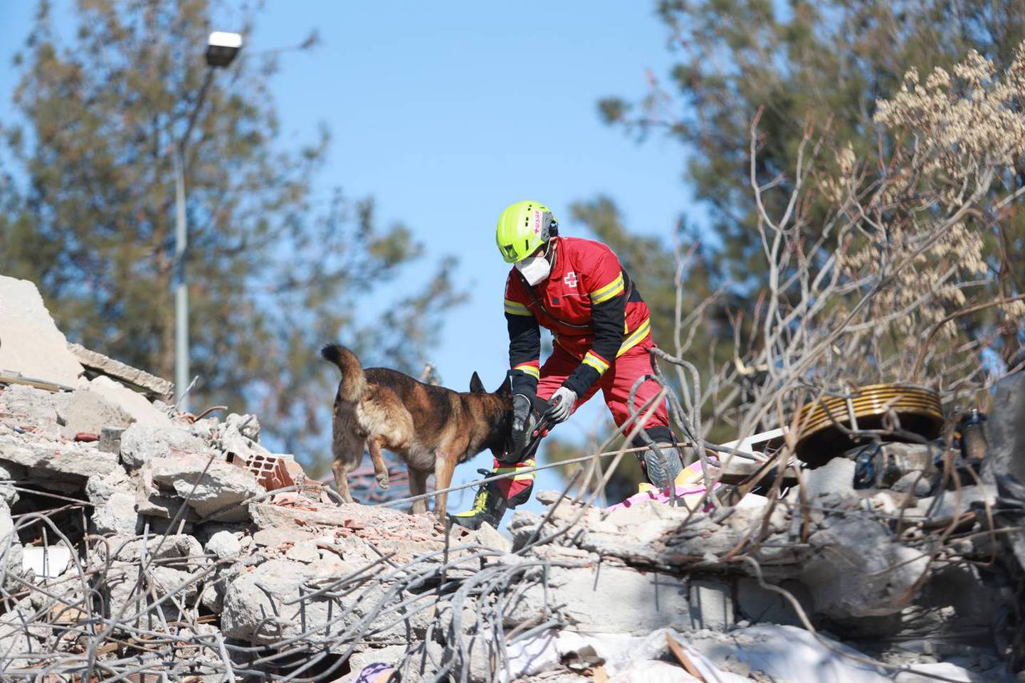 Grupo de rescate “Frida”: Grupo de caninos apoyan en Turquía y Siria tras sismo