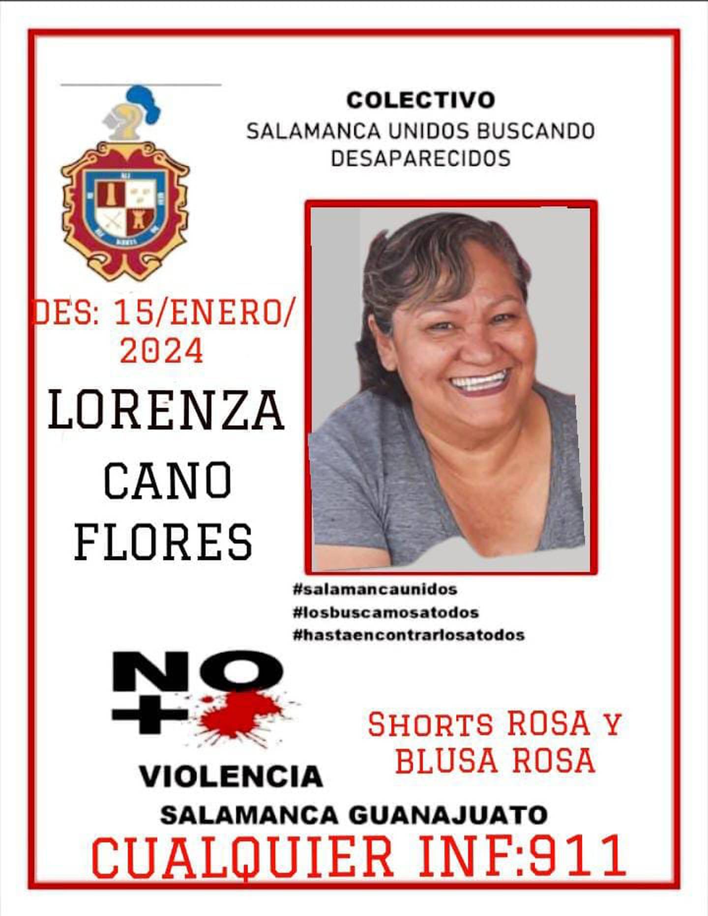 Hombres armados ‘desaparecen’ a madre buscadora y asesinan a su familia en Guanajuato