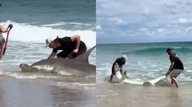 ¡Héroes sin capa! Jóvenes salvan a tiburón atrapado en un hilo de pesca
