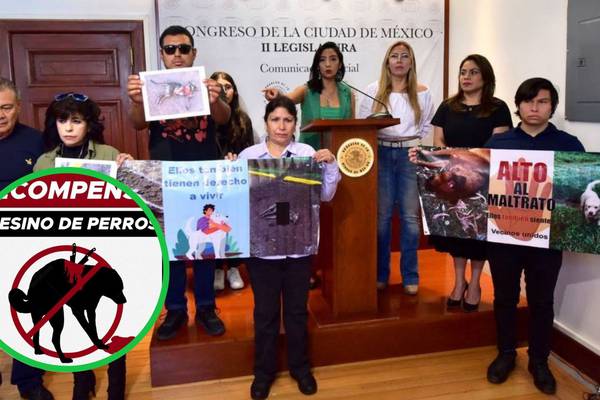 Ofrecen recompensa de 50 mil pesos por asesino serial de perros en Xochimilco