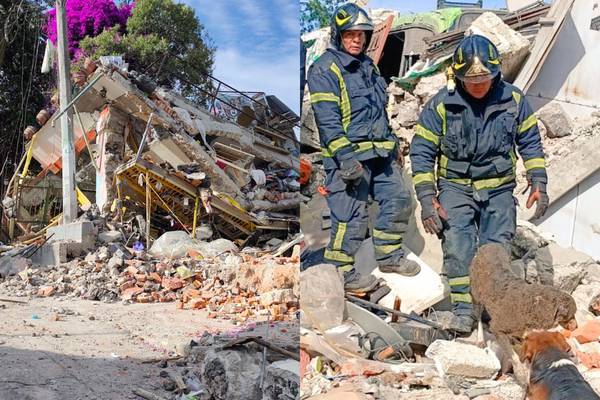 Bomberos rescatan a tres lomitos tras explosión por fuga de gas en vivienda de Tlalpan
