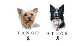 ¡Justicia! Realizan primer juicio por el asesinato de los perros rescatistas Athos y Tango 