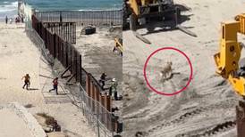 Migrantes aprovechan reparación de muro y pasan corriendo a EU