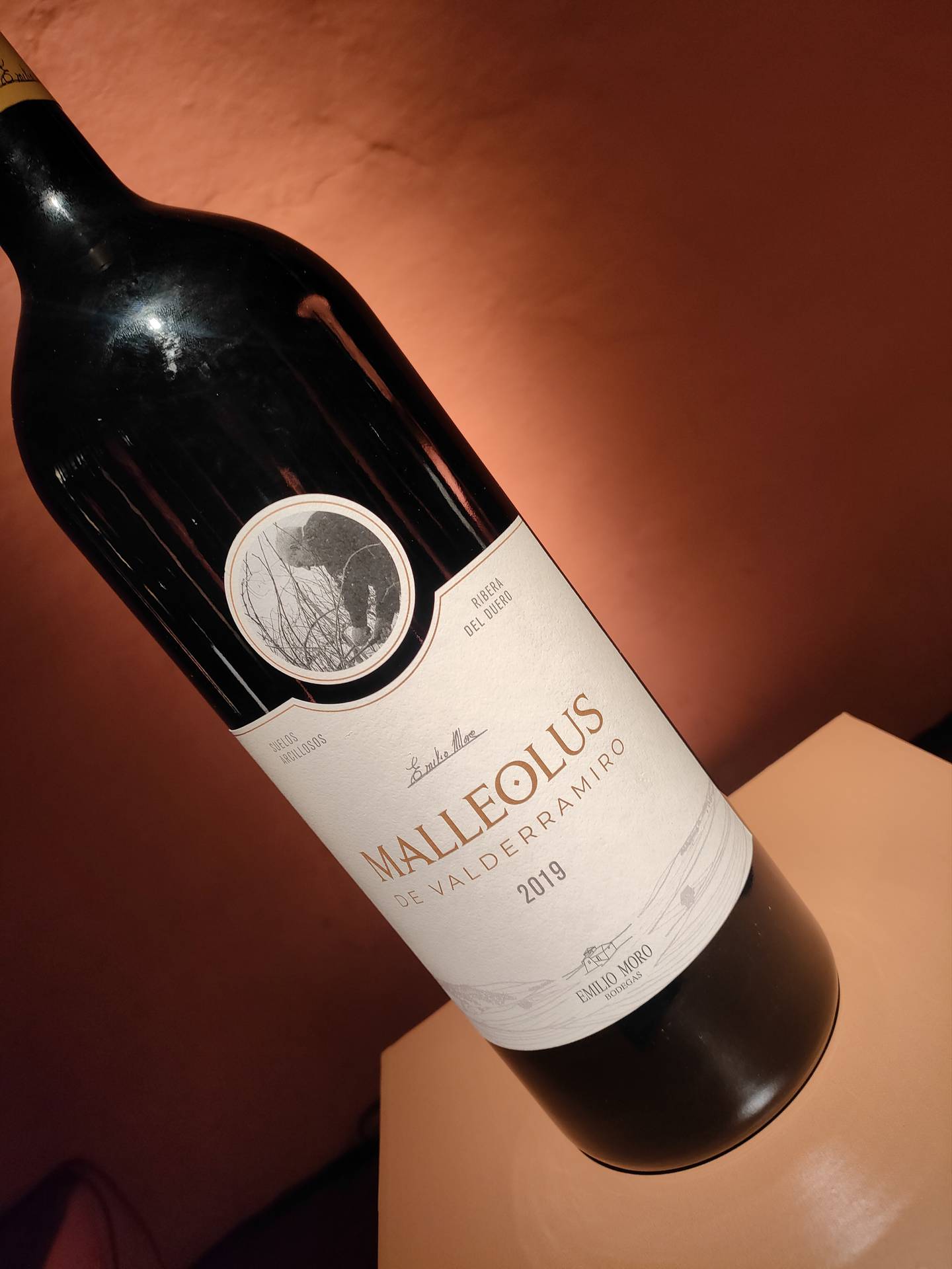 La Familia Malleolus presenta tres etiquetas de gran potencia y estructura que seducirán el paladar de los amantes del vino