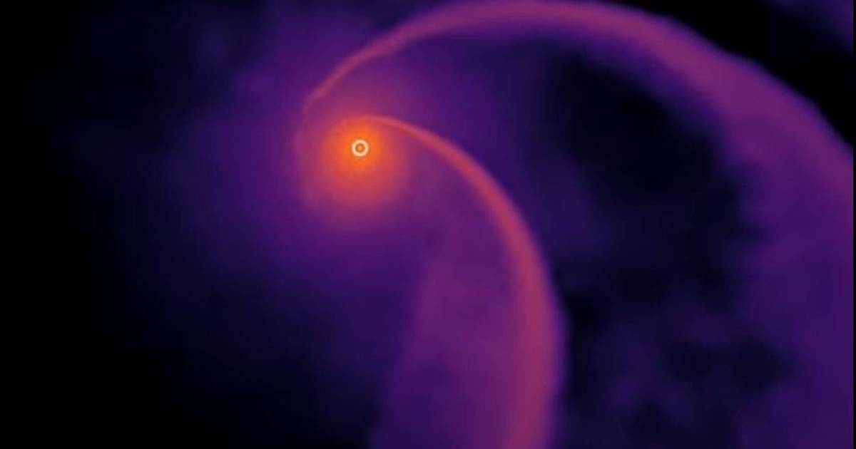 the sciences.  – Intermediate mass black holes eat stars with stingers – Publimetro México