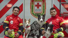 La Cruz Roja Mexicana celebra a lomitos rescatistas en el Día Internacional del Perro