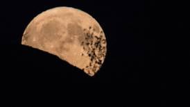 Luna de Maíz, equinoccio de otoño y otros fenómenos astronómicos que llegan en septiembre