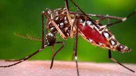 Querétaro cerró el 2023 con 96 casos de dengue