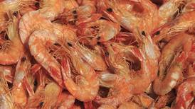 Precios del camarón seco superan los 900 pesos por medio kilo en el primer viernes de Cuaresma