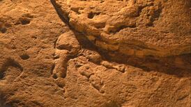 Exhiben en museo de Gales fósil encontrado por niña de cuatro años