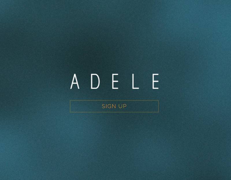 30 de Adele es uno de los discos más esperados desde el 2015 cuando la cantante sacó su hasta ahora última producción musical.