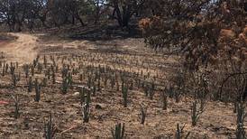 Fiscalía de Jalisco vincula a proceso a tres probables responsables del incendio en el Bosque de la Primavera