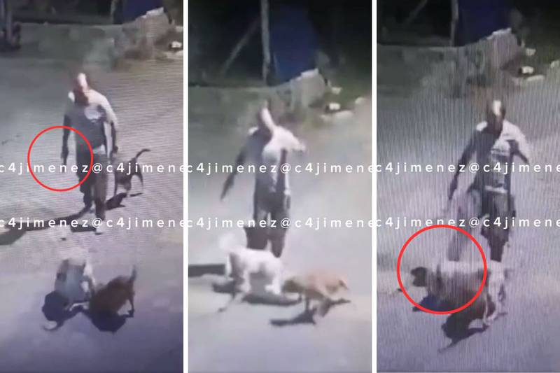 Hombre armado patea perros en Xochilico.