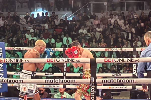 Noche épica en Oaxaca: Gatito Curiel da pelea memorable en cierre de Campeones de la Guelaguetza