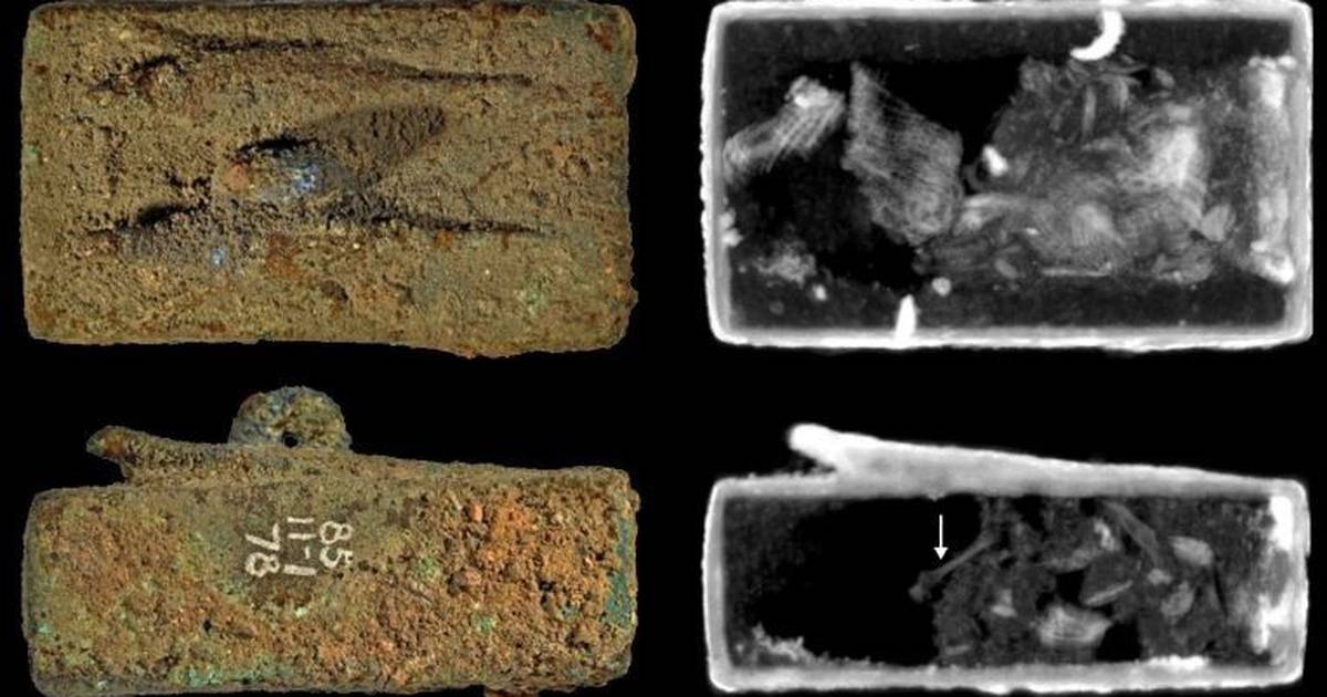 Ciencia.-Unraveling the Secrets of Egyptian Animal Mummies – Publimetro México
