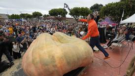 Profesor de horticultura gana concurso con calabaza gigante y bate récord mundial