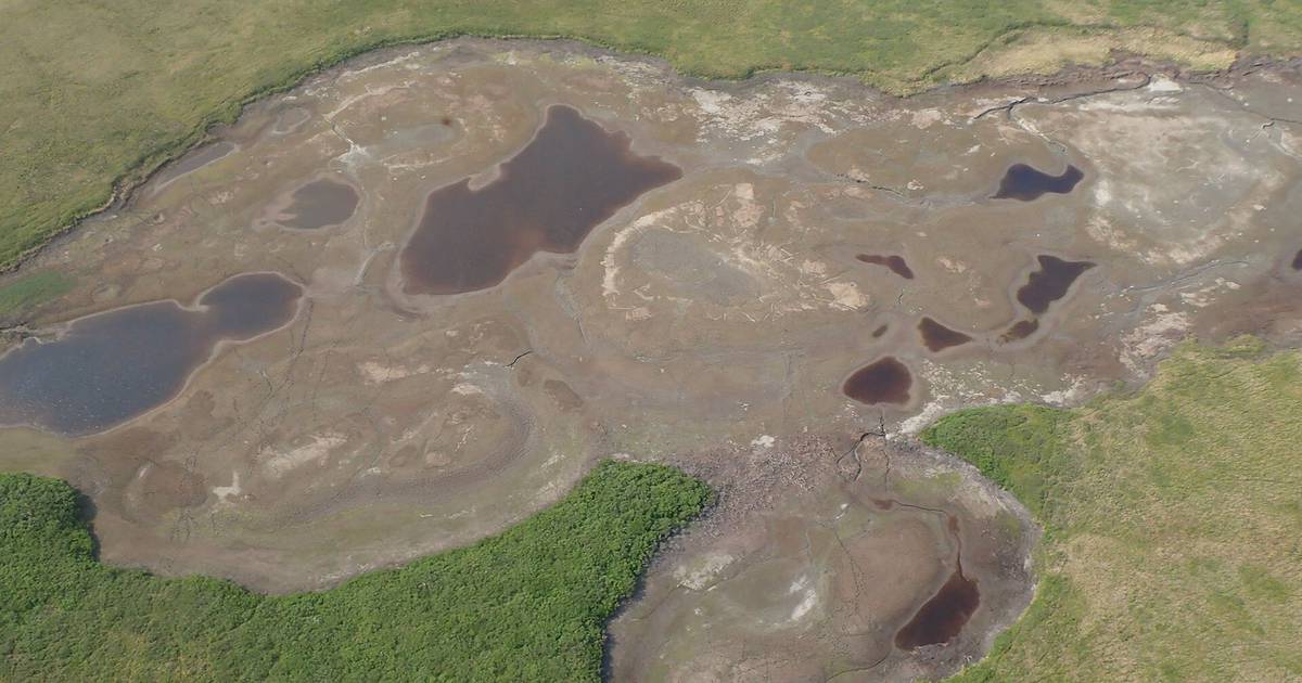 Science.  Melting permafrost dries up Arctic lakes – Publimetro México