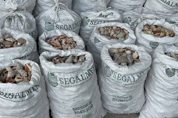 Decomisan en Hong Kong una tonelada de metanfetamina procedente de México  en costales de Segalmex