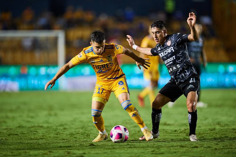 Tigres sumó su quinto empate como local después de que igualara sin goles con el Necaxa, aunque se mantiene en el Top 5 de la Liga MX