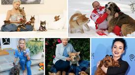 Políticos y artistas presumen amor por sus caninos en el Día Internacional del Perro 