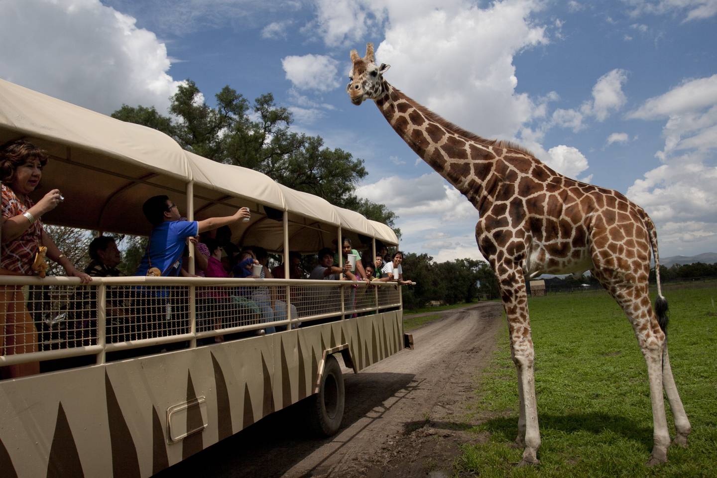 Decenas de turistas disfrutan de las vacaciones de verano en Parque Reino Animal.