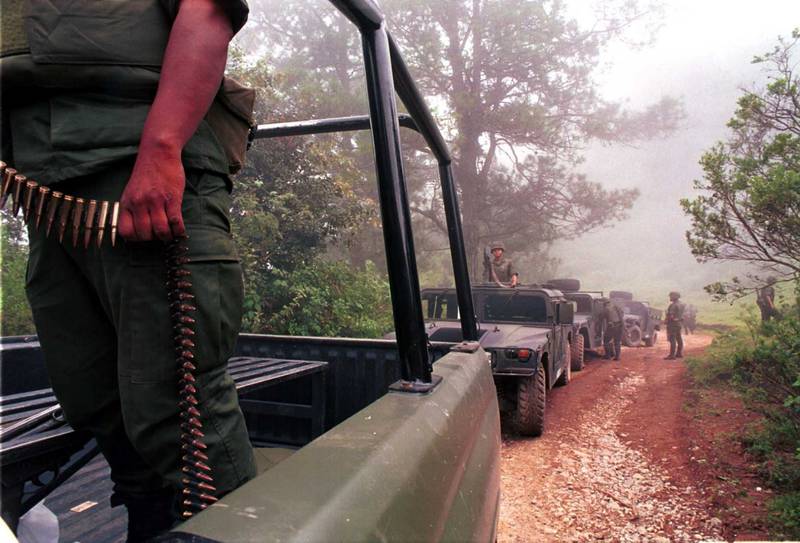 Sedena: ejército ‘suaviza’ golpes a plantíos del narcotráfico