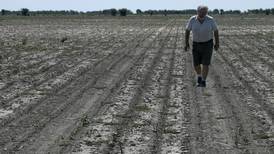 Campo enfrenta nueva crisis: 86% de cultivos no tienen seguro contra la sequía