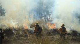 CDMX en llamas: 594 incendios forestales en lo que va del 2024