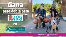 Gana pase doble para Dog Friendly en Jardines de México.