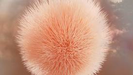 Peach Fuzz, un color cálido y elegante que marcará tendencia en 2024  