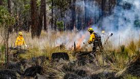 Autoridades piden tomar medidas preventivas contra incendios forestales en temporada de estiaje