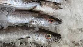 ¡Fraude de Cuaresma! El 60% del peso del pescado congelado es hielo