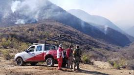 Al menos cinco comuneros mueren calcinados durante incendio forestal en Oaxaca