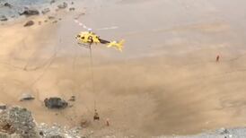 Rescatan con helicóptero a toro de casi mil kilos que resbaló desde acantilado