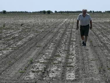 Campo enfrenta nueva crisis: 86% de cultivos no tienen seguro contra la sequía